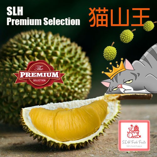SLH 猫山王 (MSW) Fresh Durian Delivery 400g